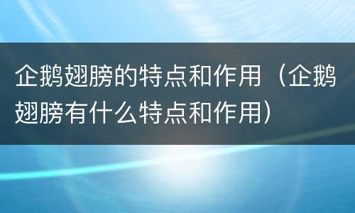 企鹅翅膀的特点和作用（企鹅翅膀有什么特点和作用）