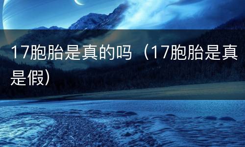 17胞胎是真的吗（17胞胎是真是假）