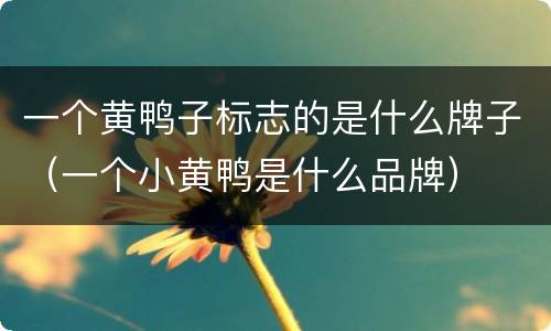 一个黄鸭子标志的是什么牌子（一个小黄鸭是什么品牌）