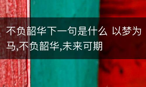 不负韶华下一句是什么 以梦为马,不负韶华,未来可期