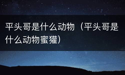 平头哥是什么动物（平头哥是什么动物蜜獾）