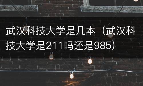武汉科技大学是几本（武汉科技大学是211吗还是985）