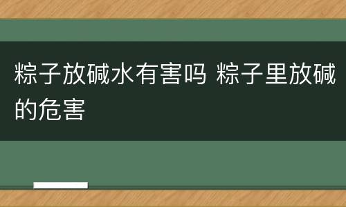 粽子放碱水有害吗 粽子里放碱的危害