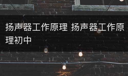 扬声器工作原理 扬声器工作原理初中