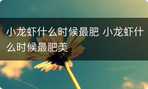 小龙虾什么时候最肥 小龙虾什么时候最肥美