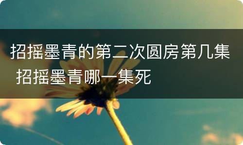 招摇墨青的第二次圆房第几集 招摇墨青哪一集死