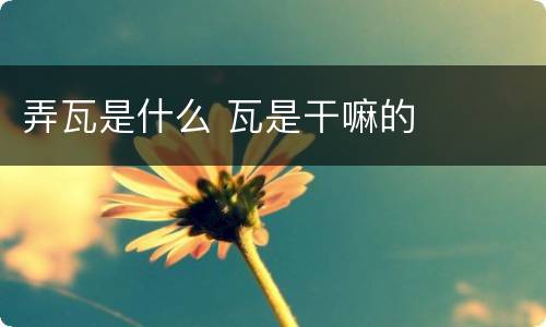 弄瓦是什么 瓦是干嘛的