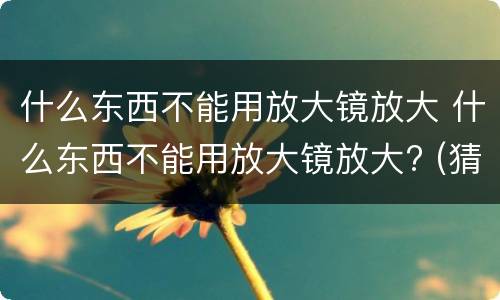 什么东西不能用放大镜放大 什么东西不能用放大镜放大? (猜一字