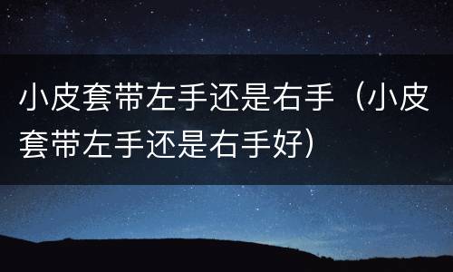 小皮套带左手还是右手（小皮套带左手还是右手好）