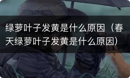绿萝叶子发黄是什么原因（春天绿萝叶子发黄是什么原因）