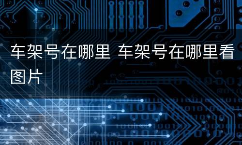 车架号在哪里 车架号在哪里看图片