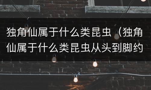 独角仙属于什么类昆虫（独角仙属于什么类昆虫从头到脚约有两寸甲壳多为深色）