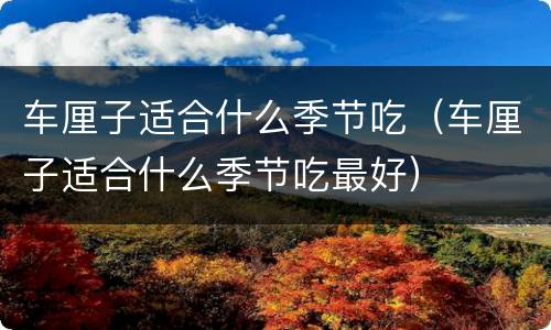 车厘子适合什么季节吃（车厘子适合什么季节吃最好）