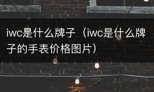 iwc是什么牌子（iwc是什么牌子的手表价格图片）