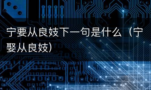 宁要从良妓下一句是什么（宁娶从良妓）