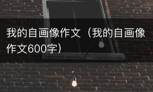 我的自画像作文（我的自画像作文600字）