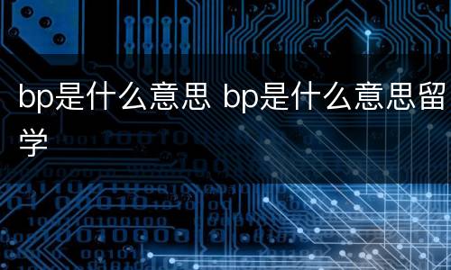 bp是什么意思 bp是什么意思留学