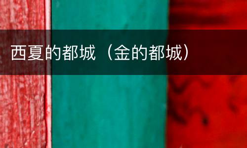 西夏的都城（金的都城）