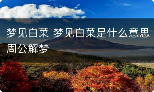 梦见白菜 梦见白菜是什么意思周公解梦