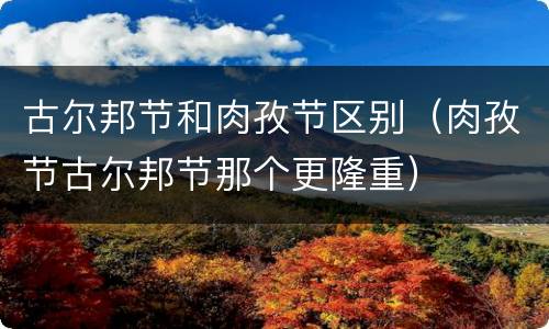 古尔邦节和肉孜节区别（肉孜节古尔邦节那个更隆重）
