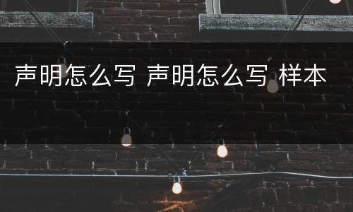 声明怎么写 声明怎么写 样本