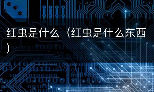 红虫是什么（红虫是什么东西）