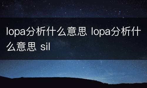 lopa分析什么意思 lopa分析什么意思 sil