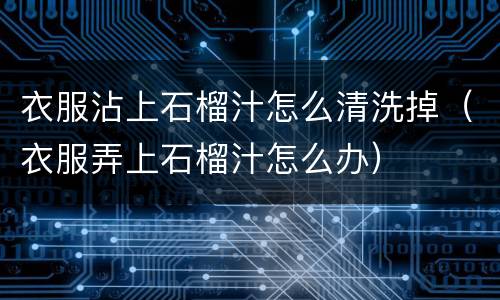 衣服沾上石榴汁怎么清洗掉（衣服弄上石榴汁怎么办）