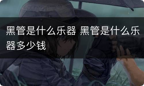 黑管是什么乐器 黑管是什么乐器多少钱