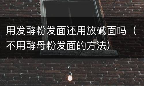用发酵粉发面还用放碱面吗（不用酵母粉发面的方法）