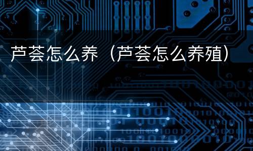 芦荟怎么养（芦荟怎么养殖）