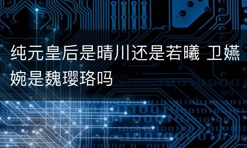 纯元皇后是晴川还是若曦 卫嬿婉是魏璎珞吗