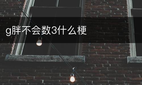 g胖不会数3什么梗