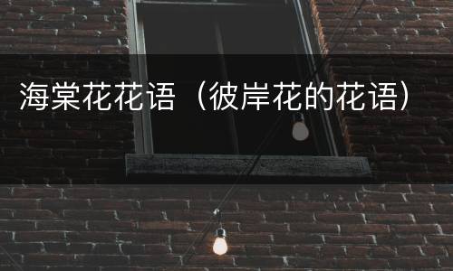 海棠花花语（彼岸花的花语）