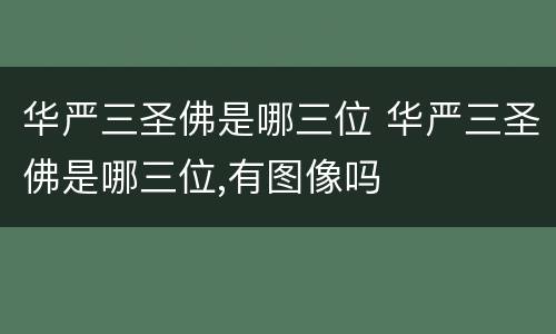 华严三圣佛是哪三位 华严三圣佛是哪三位,有图像吗