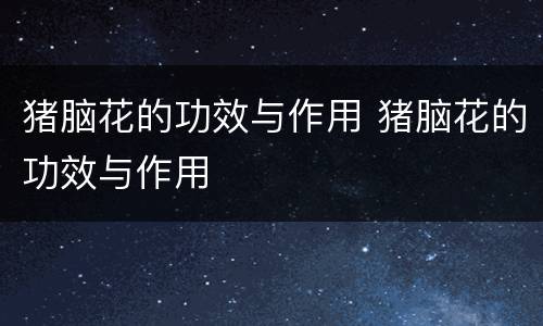 猪脑花的功效与作用 猪脑花的功效与作用