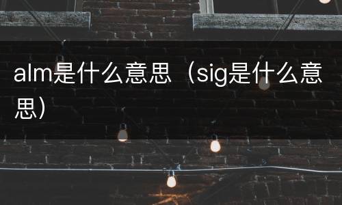 alm是什么意思（sig是什么意思）