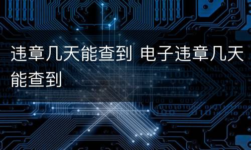 违章几天能查到 电子违章几天能查到