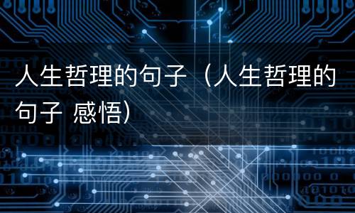 人生哲理的句子（人生哲理的句子 感悟）