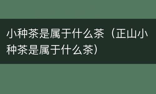 小种茶是属于什么茶（正山小种茶是属于什么茶）