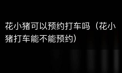 花小猪可以预约打车吗（花小猪打车能不能预约）