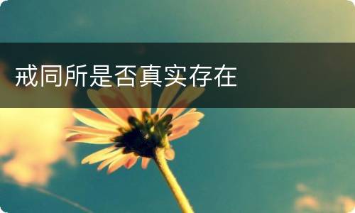 戒同所是否真实存在