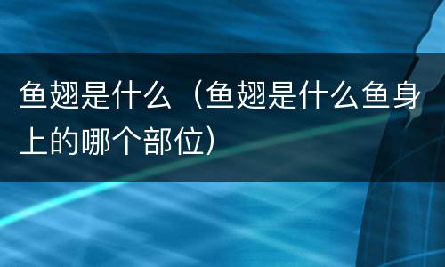 鱼翅是什么（鱼翅是什么鱼身上的哪个部位）