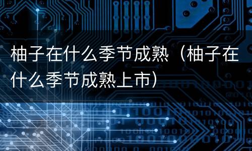 柚子在什么季节成熟（柚子在什么季节成熟上市）