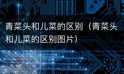 青菜头和儿菜的区别（青菜头和儿菜的区别图片）