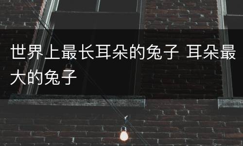 世界上最长耳朵的兔子 耳朵最大的兔子