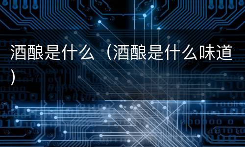 酒酿是什么（酒酿是什么味道）