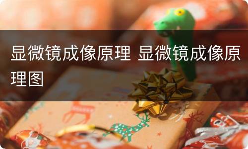 显微镜成像原理 显微镜成像原理图