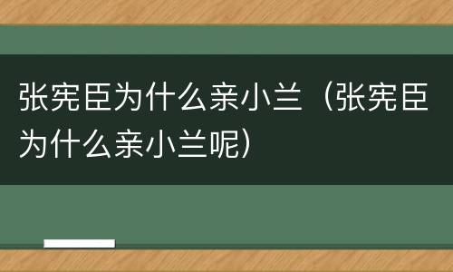 张宪臣为什么亲小兰（张宪臣为什么亲小兰呢）