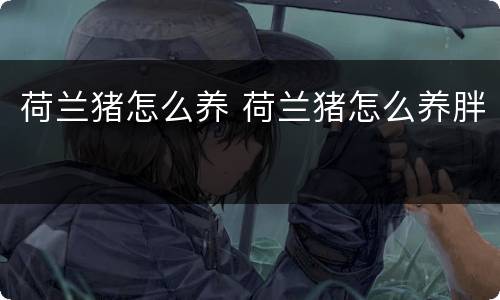 荷兰猪怎么养 荷兰猪怎么养胖